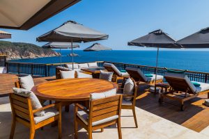 Los Agaves Banyan Tree