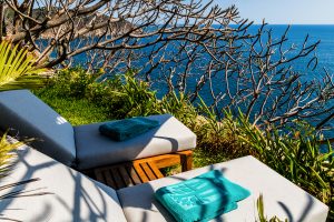 Los Agaves Banyan Tree