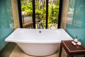 Los Agaves Banyan Tree