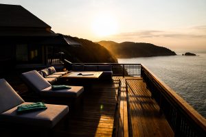 Los Agaves Banyan Tree