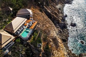 Los Agaves Banyan Tree