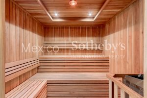 Tabachines Contemporaneo
